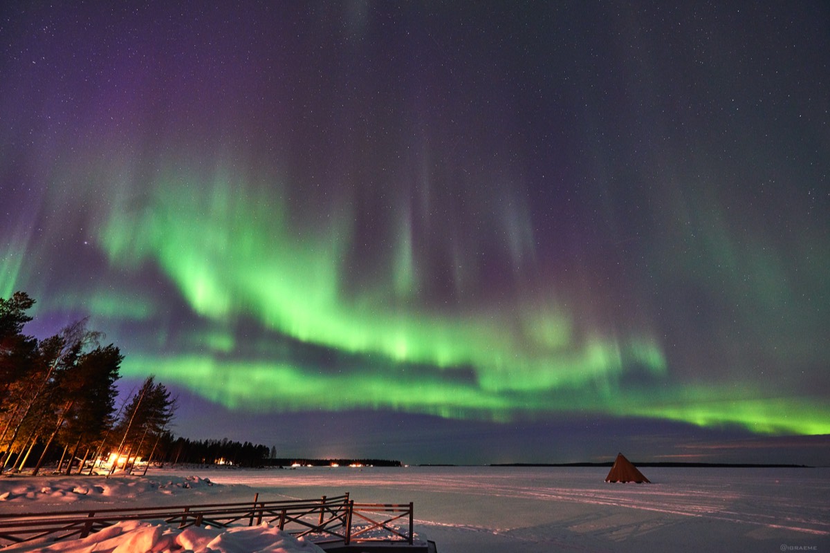 Northern Light Snowshoe