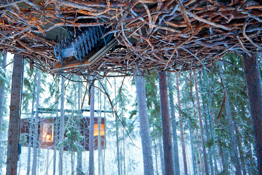 Birds nest Treehotel