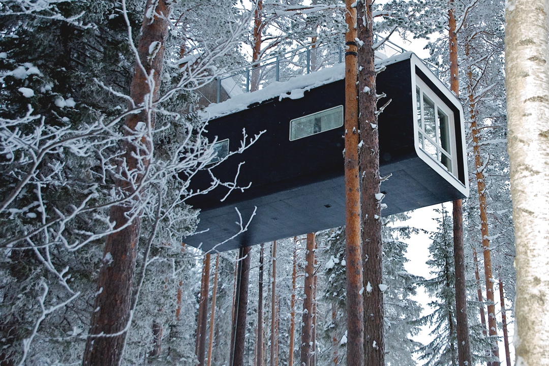 The Cabin Treehotel