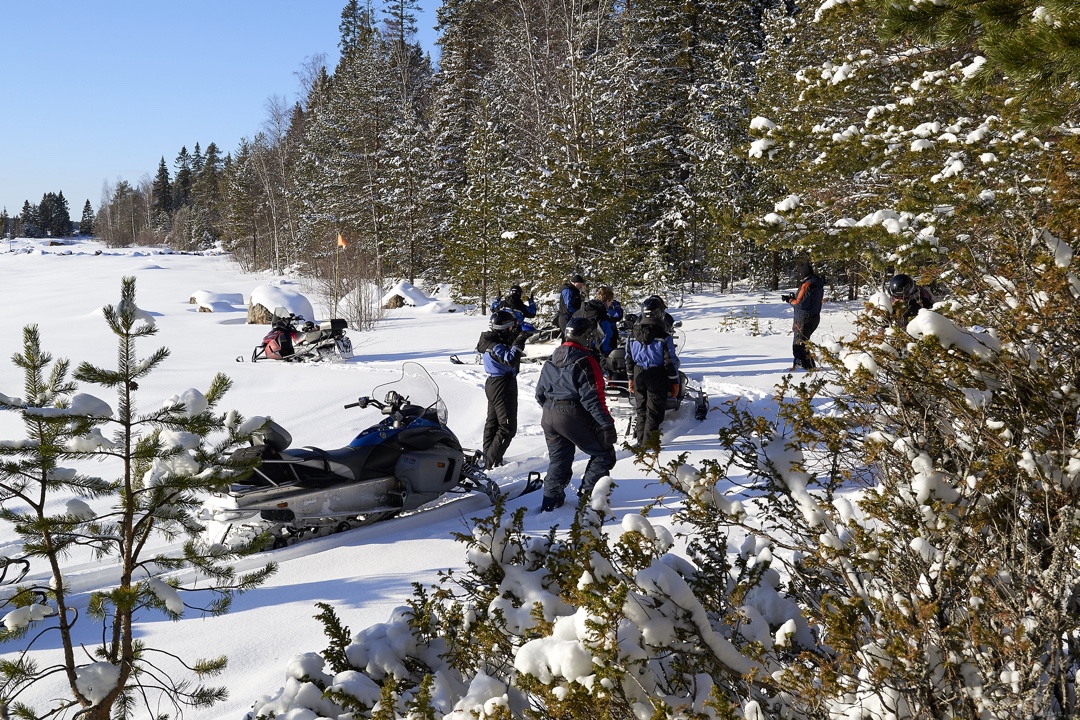 Forest and Ice Nature Tour by Snowmobile