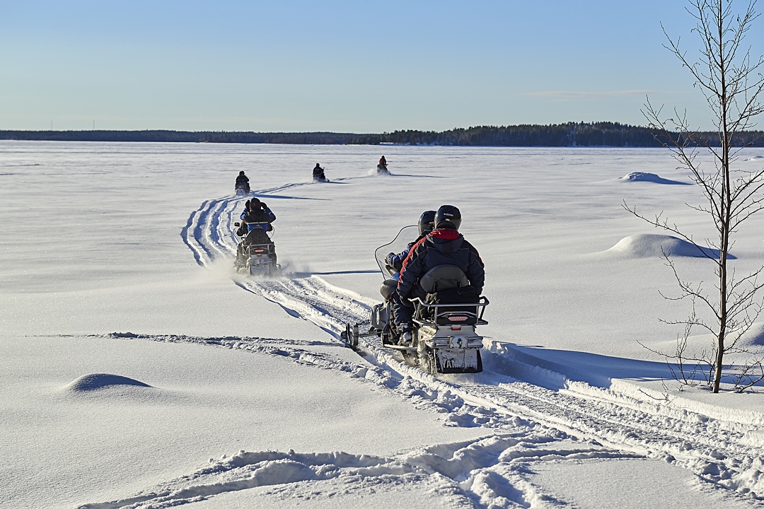 Nature tour by Snowmobile